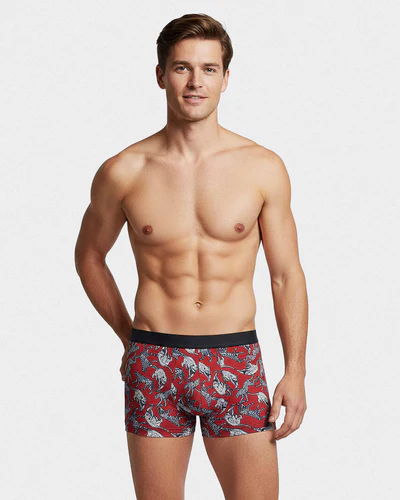 Calzoncillo Boxer Pack De 2, 95% Lyocell 5% Elastane IMPETUS II1221P52P2